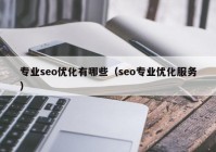 专业seo优化有哪些（seo专业优化服务）