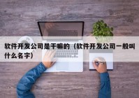 软件开发公司是干嘛的（软件开发公司一般叫什么名字）