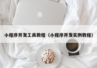 小程序开发工具教程（小程序开发实例教程）