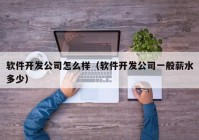 软件开发公司怎么样（软件开发公司一般薪水多少）