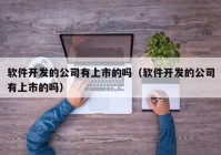 软件开发的公司有上市的吗（软件开发的公司有上市的吗）