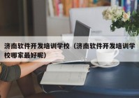 济南软件开发培训学校（济南软件开发培训学校哪家最好呢）