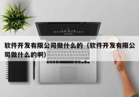 软件开发有限公司做什么的（软件开发有限公司做什么的啊）