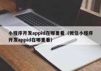 小程序开发appid在哪里看（微信小程序开发appid在哪里看）