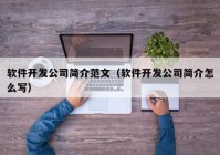 软件开发公司简介范文（软件开发公司简介怎么写）