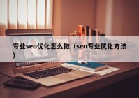 专业seo优化怎么做（seo专业优化方法）