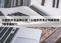 小程序开发品牌公司（小程序开发公司哪家好?哪家最好?）