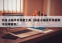 抖音小程序开发者工具（抖音小程序开发者账号在哪里弄）