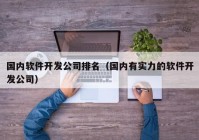 国内软件开发公司排名（国内有实力的软件开发公司）