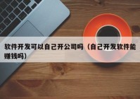 软件开发可以自己开公司吗（自己开发软件能赚钱吗）