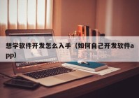 想学软件开发怎么入手（如何自己开发软件app）