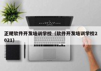 正规软件开发培训学校（软件开发培训学校2021）