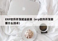 ERP软件开发就业前景（erp软件开发需要什么技术）