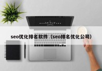 seo优化排名软件（seo排名优化公司）