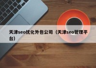 天津seo优化外包公司（天津seo管理平台）