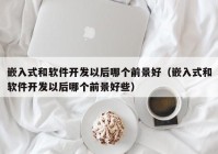 嵌入式和软件开发以后哪个前景好（嵌入式和软件开发以后哪个前景好些）