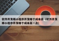 软件开发跟小程序开发哪个成本高（软件开发跟小程序开发哪个成本高一点）