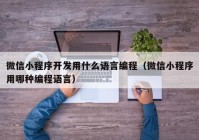 微信小程序开发用什么语言编程（微信小程序用哪种编程语言）